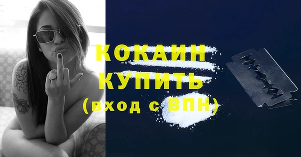 бошки Гусь-Хрустальный