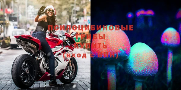 бошки Гусь-Хрустальный