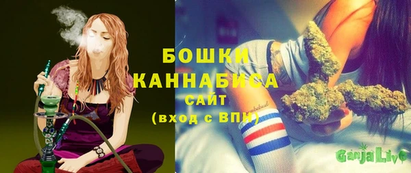 бошки Гусь-Хрустальный