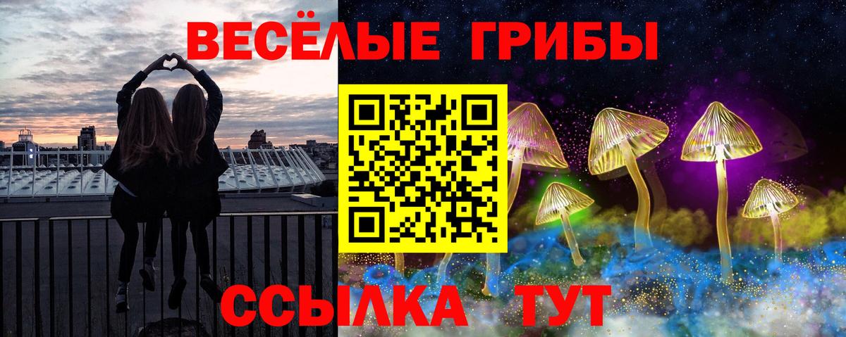 Дзержинский  Псилоцибиновые грибы мухоморы  Вход с VPN 